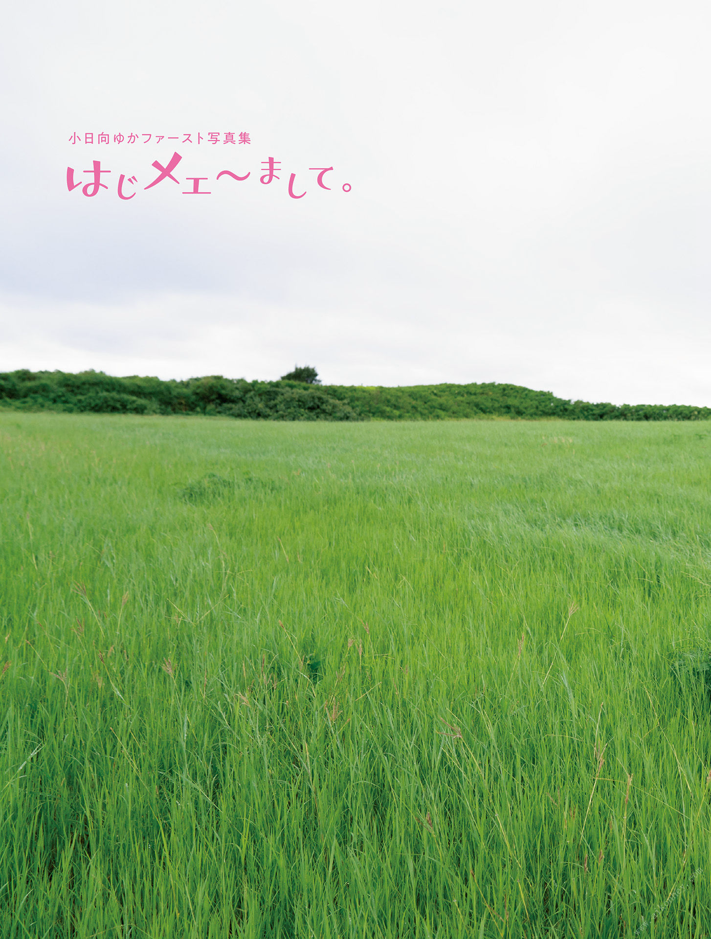 小日向優香[Photobook]寫真集はじメェ～まして。