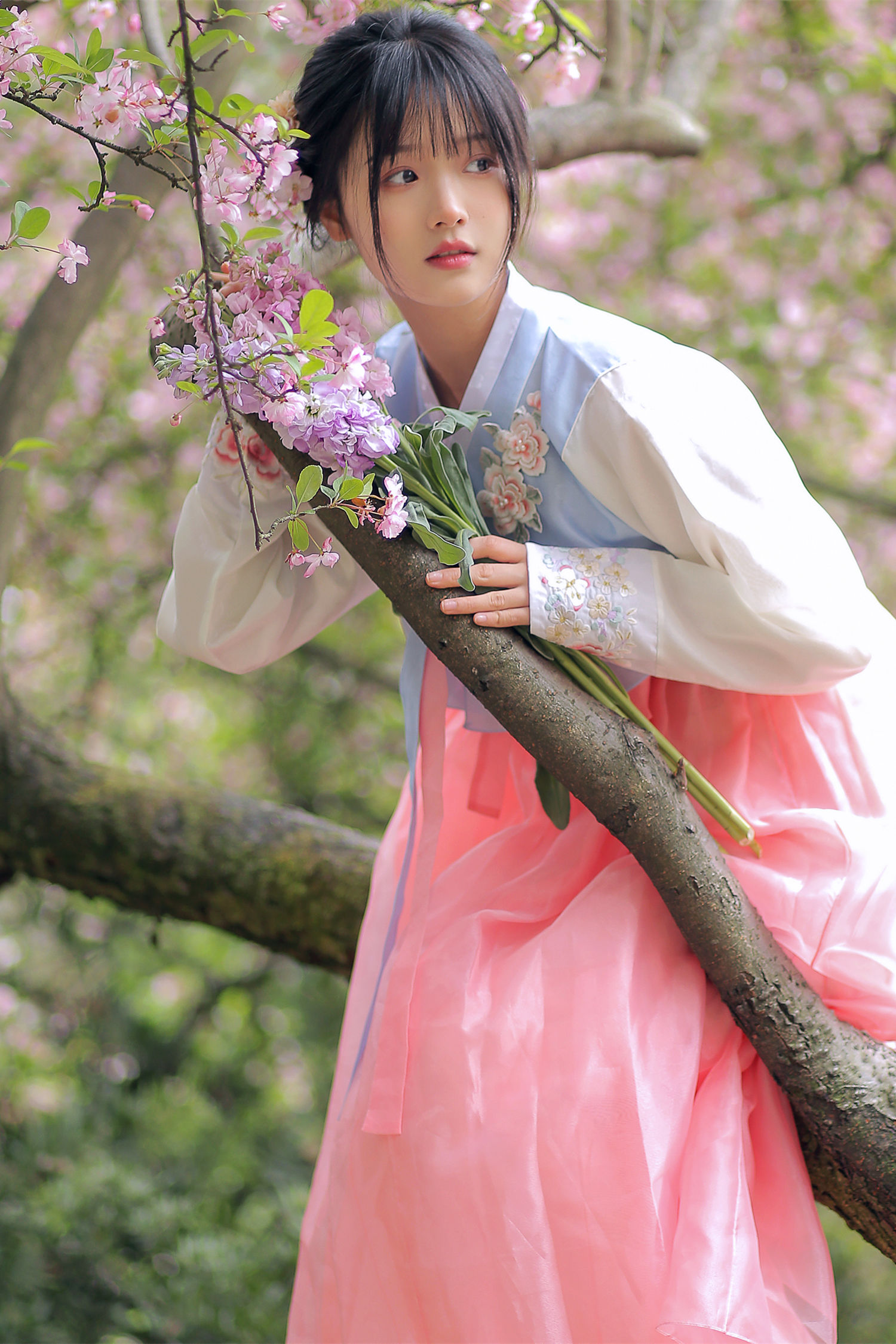 春日海棠 至春禾 - COSPLAY -