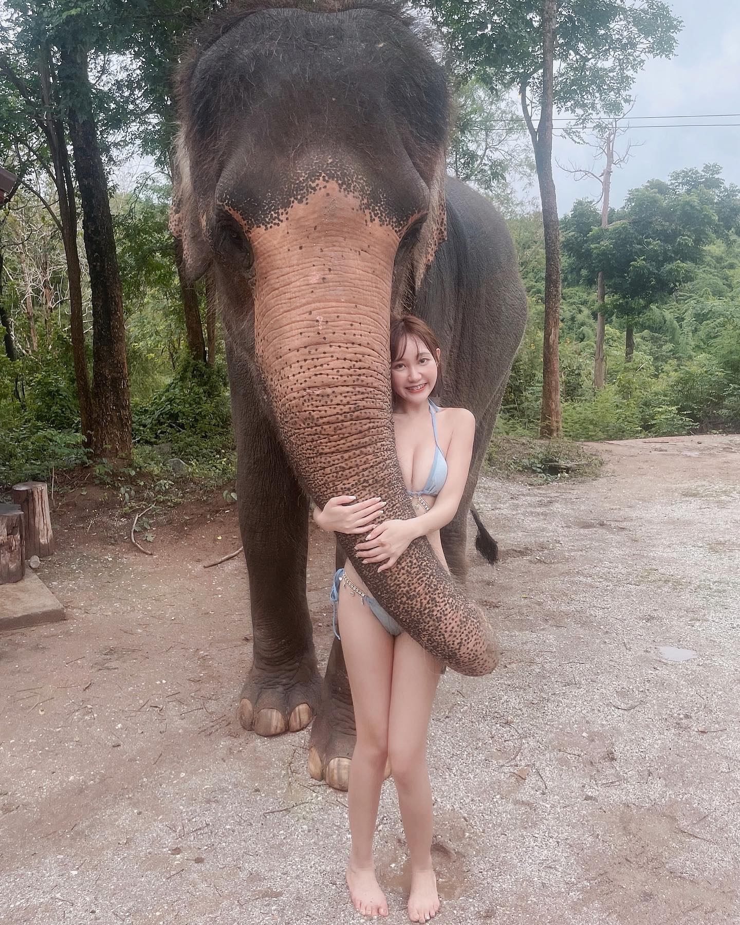 陽光女神「蔣馨」幫泰國象洗澡，象鼻環繞幸福擠出「大奶溝」！