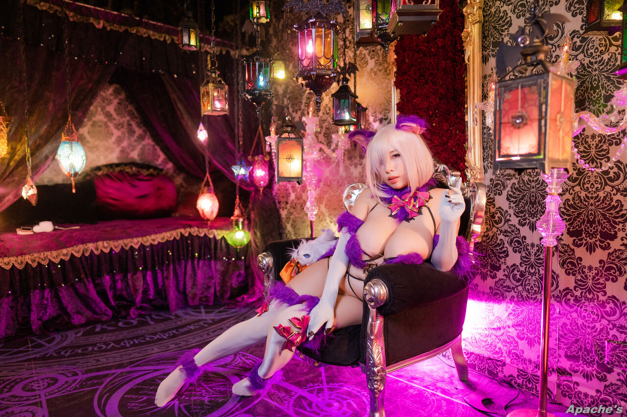 Bilibili - Beast Mashu-1