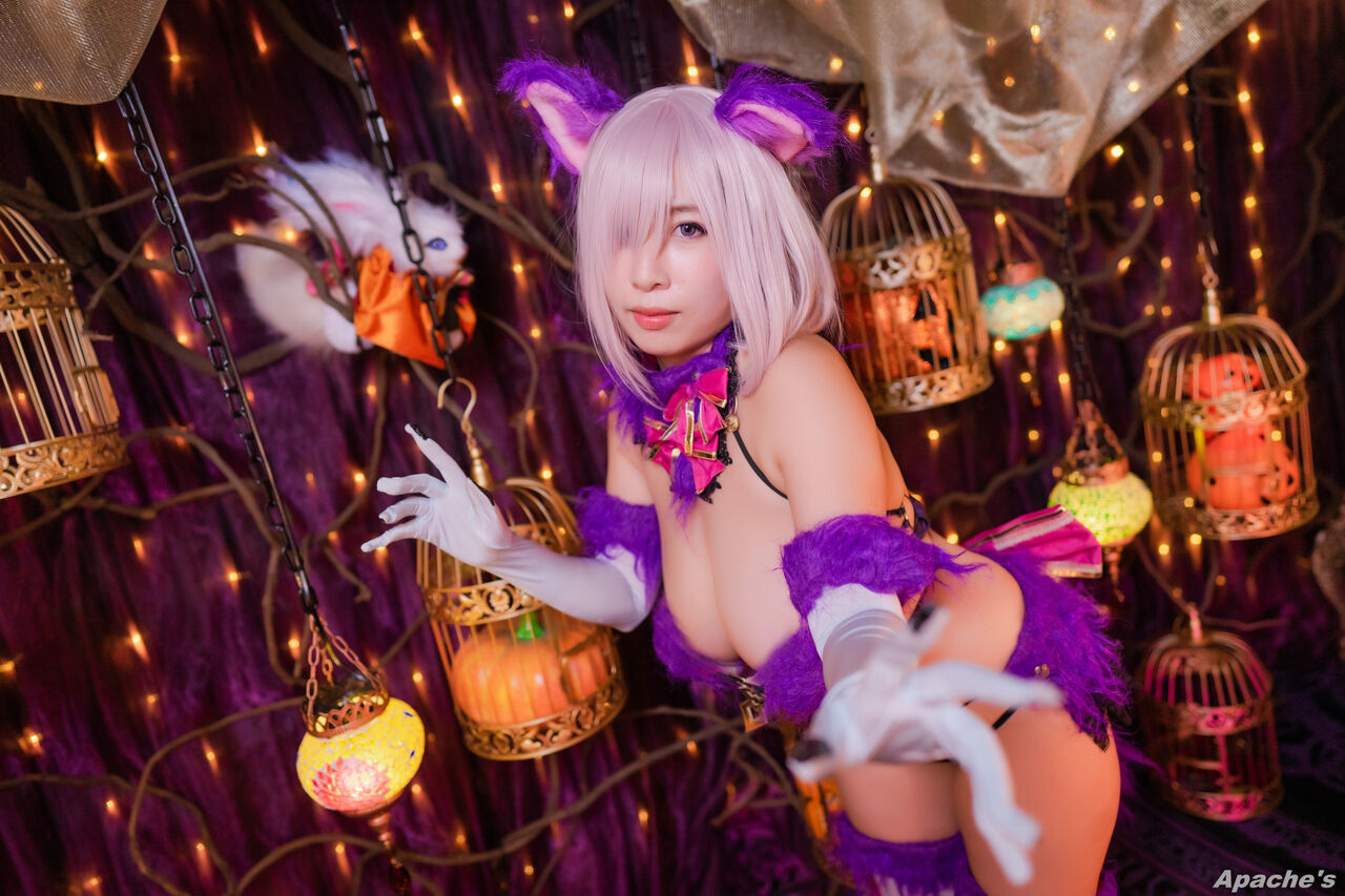 Bilibili - Beast Mashu-2