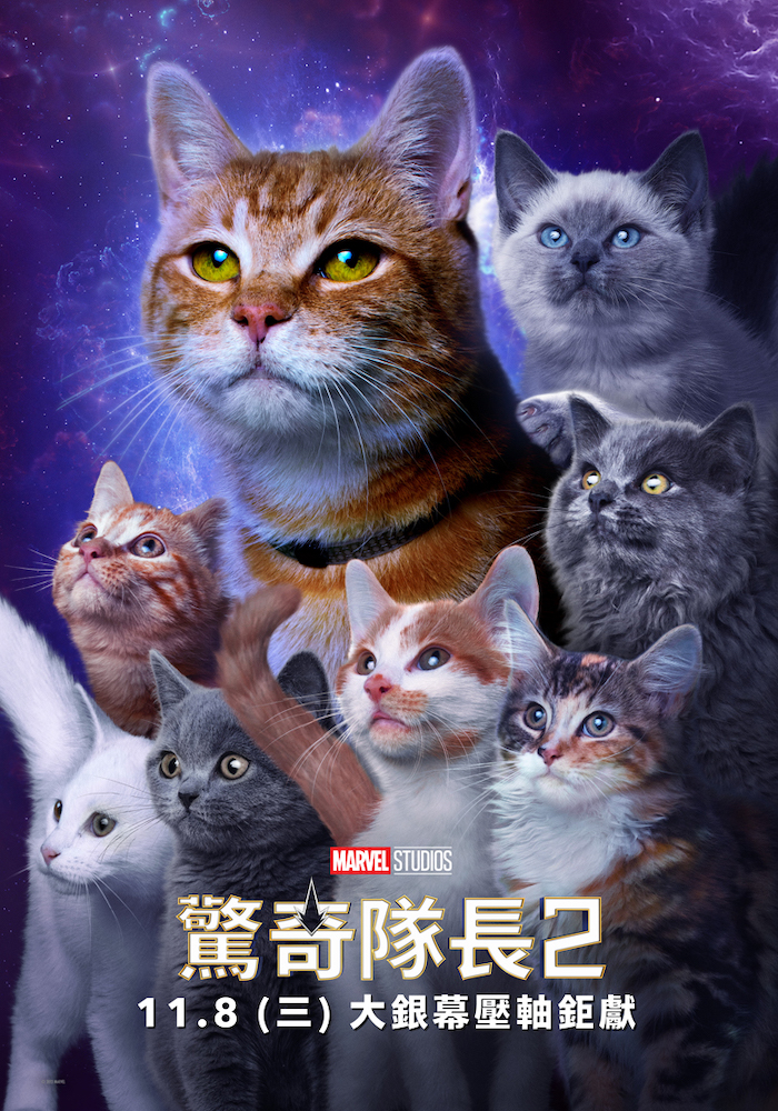 《驚奇隊長2》人物款海報_佛萊肯大軍.jpg