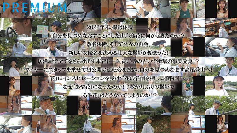 pred00515jp-1.jpg