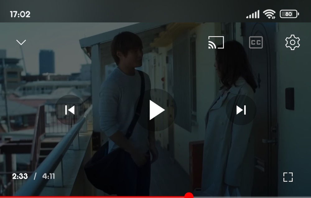 Screenshot_2023-11-17-17-02-05-212_com.google.android.youtube.jpg