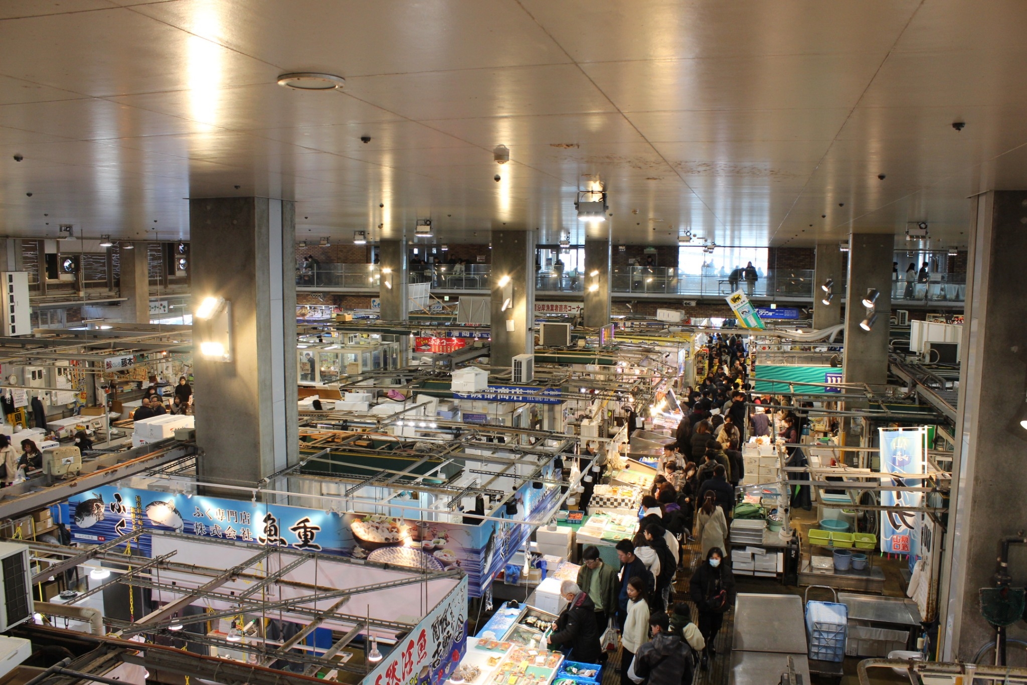 LINE_ALBUM_D1福岡機場 D2博多市 D3熊本 D4門司港_240225_1.jpg