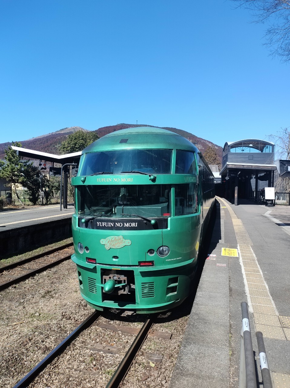 LINE_ALBUM_D5長崎 D6佐賀嬉野 D7由布院_240225_13.jpg