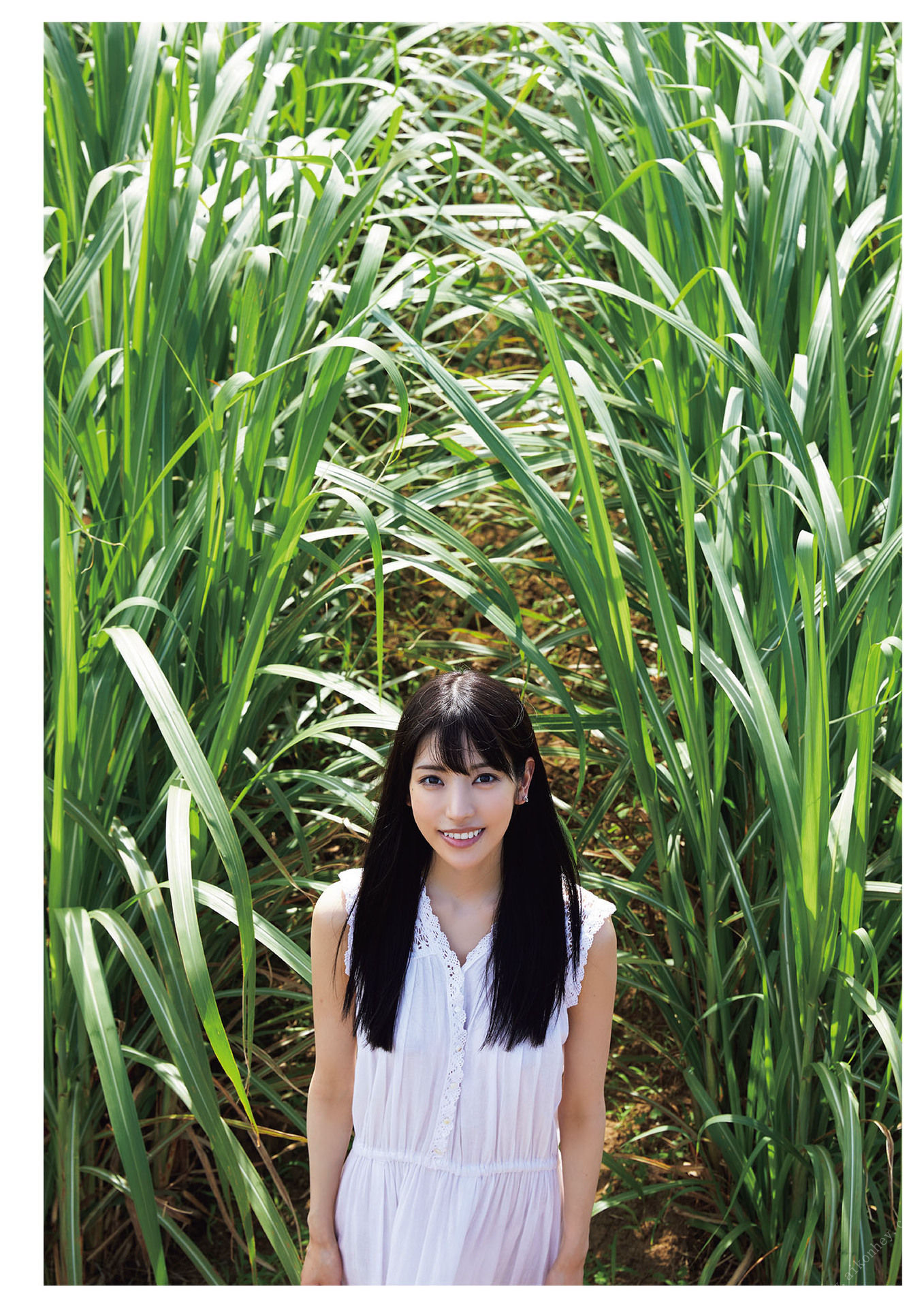 楓可憐(楓カレン)[Photobook]KarensAmamiOshimaSightseeingTour