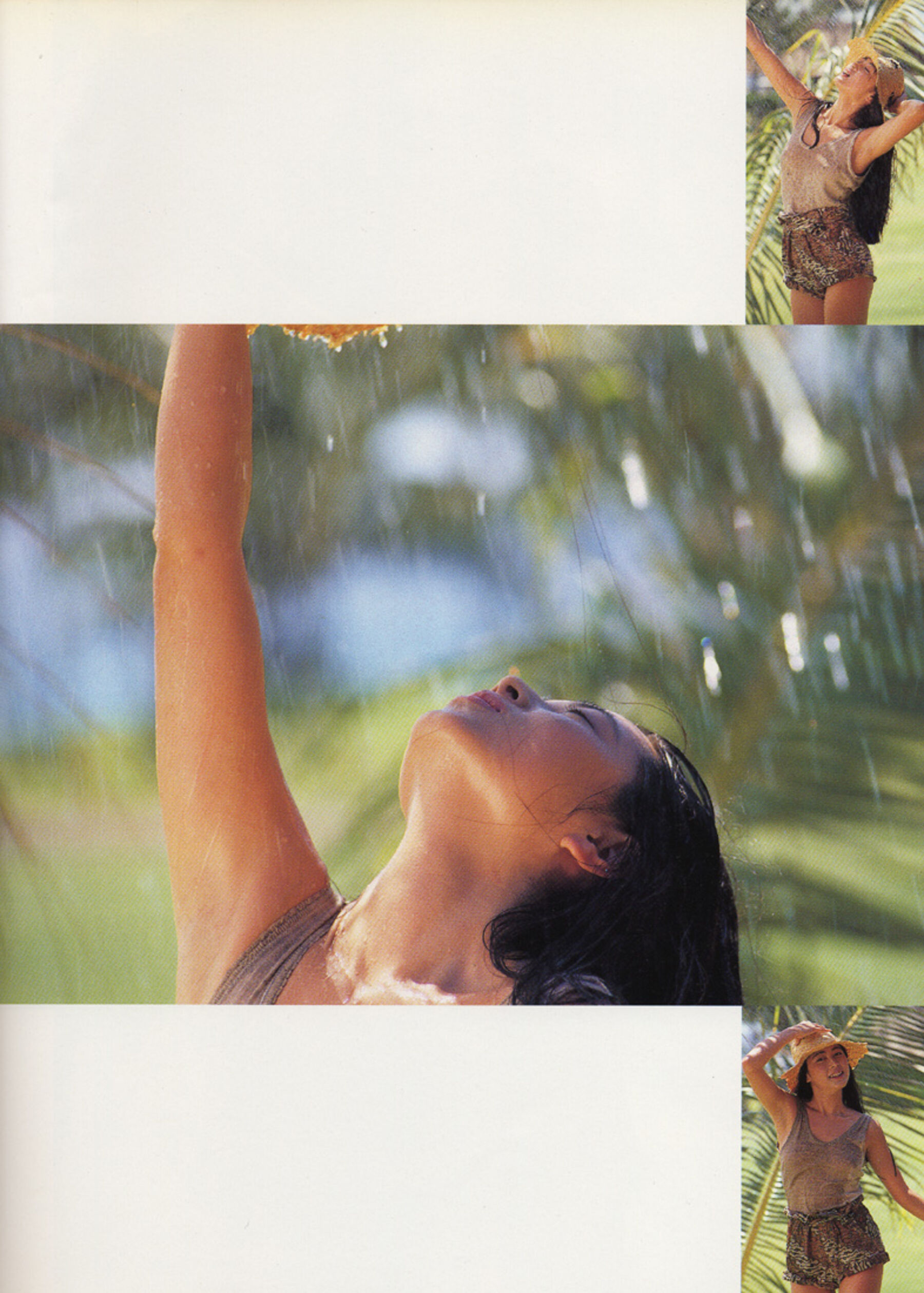 蒲池幸子《NOCTURNE》（1990-07-30）