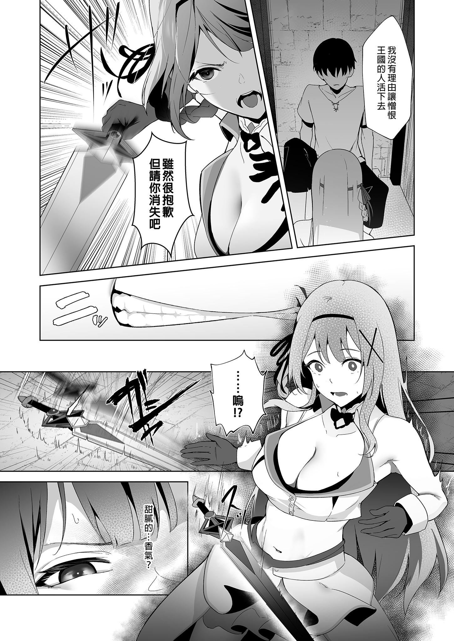 [中文H漫]姫騎士物語