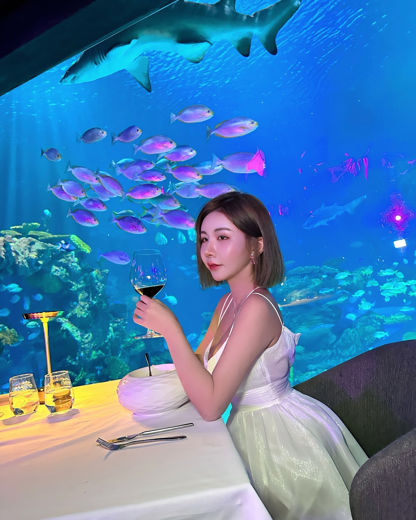 「念念」海底餐廳穿好辣！「渾圓雙球」快溢出，還以為魚都泡在奶裡長大