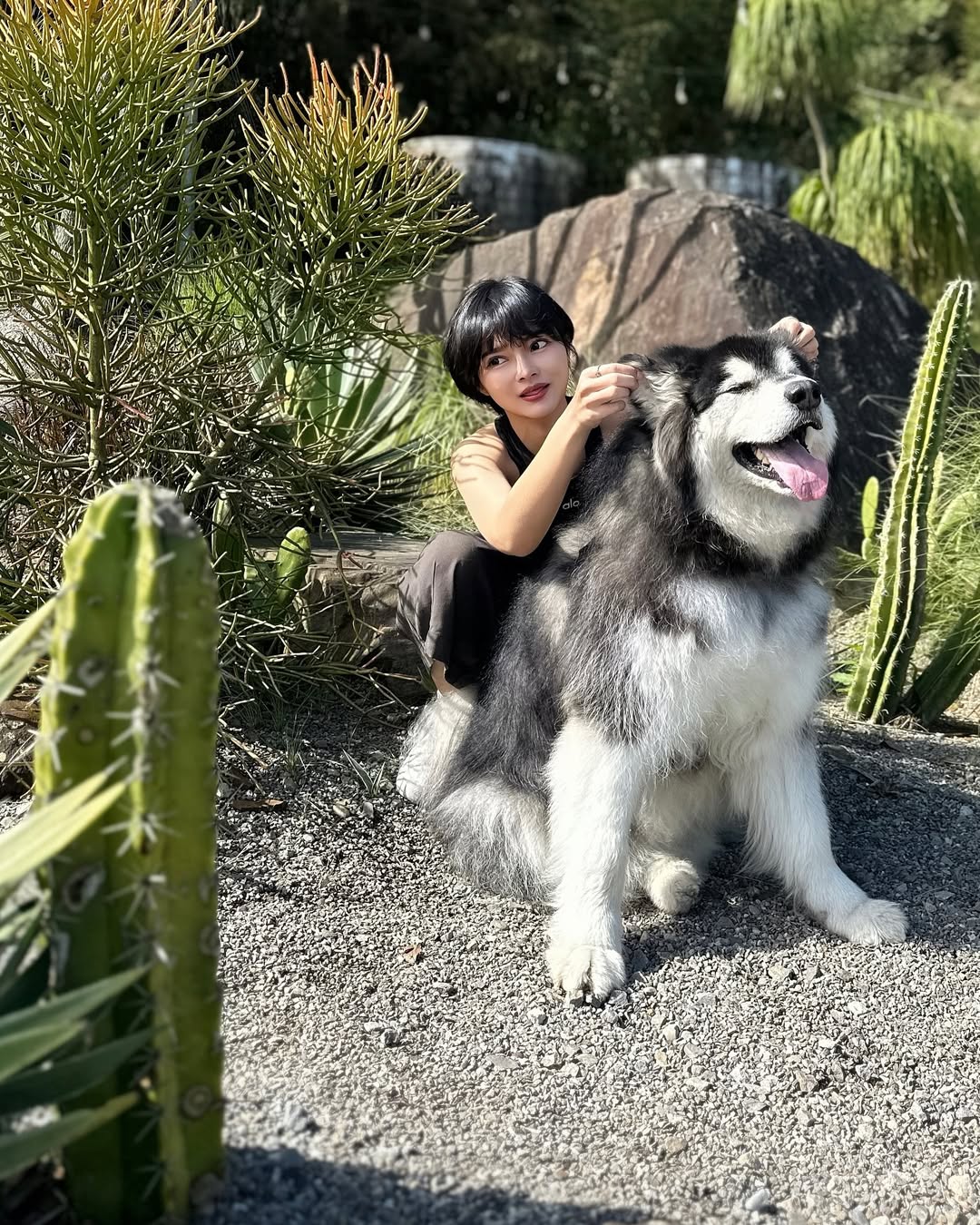 A栗 露營 2026 櫻花