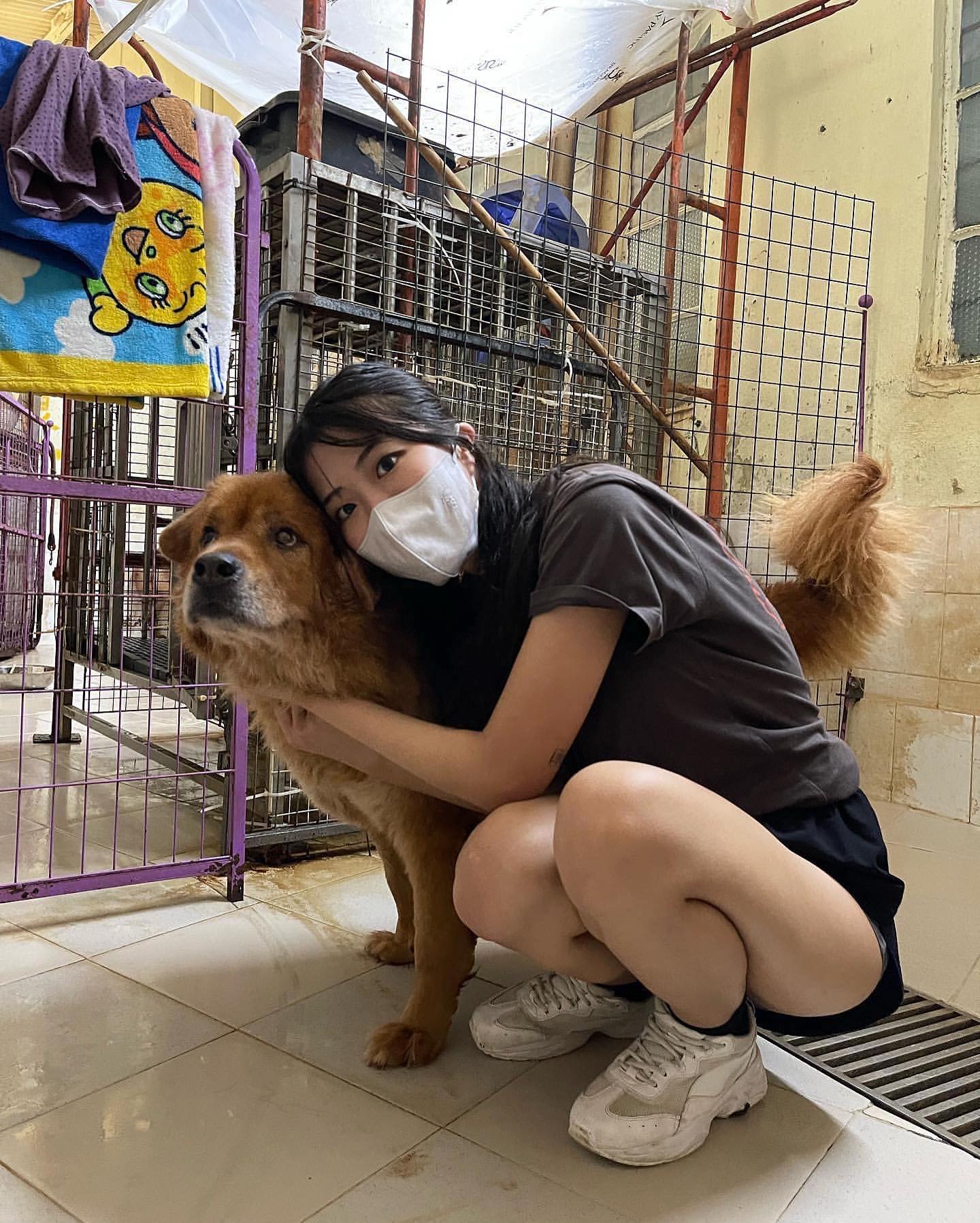 人美心善體還辣！香港巨乳正妹利用閒暇時間擔任狗園義工