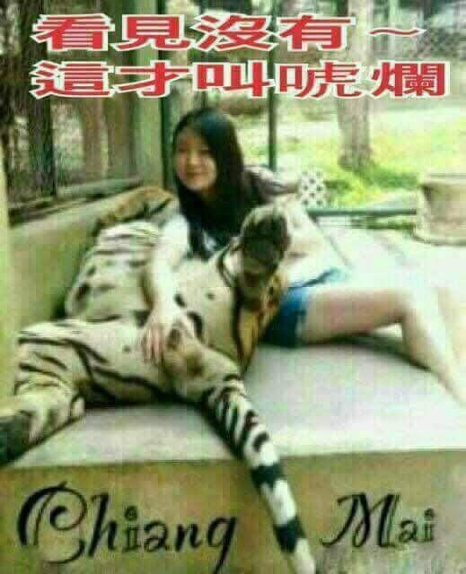 764456cef39b8c80f5c72dd65f252e71.jpg