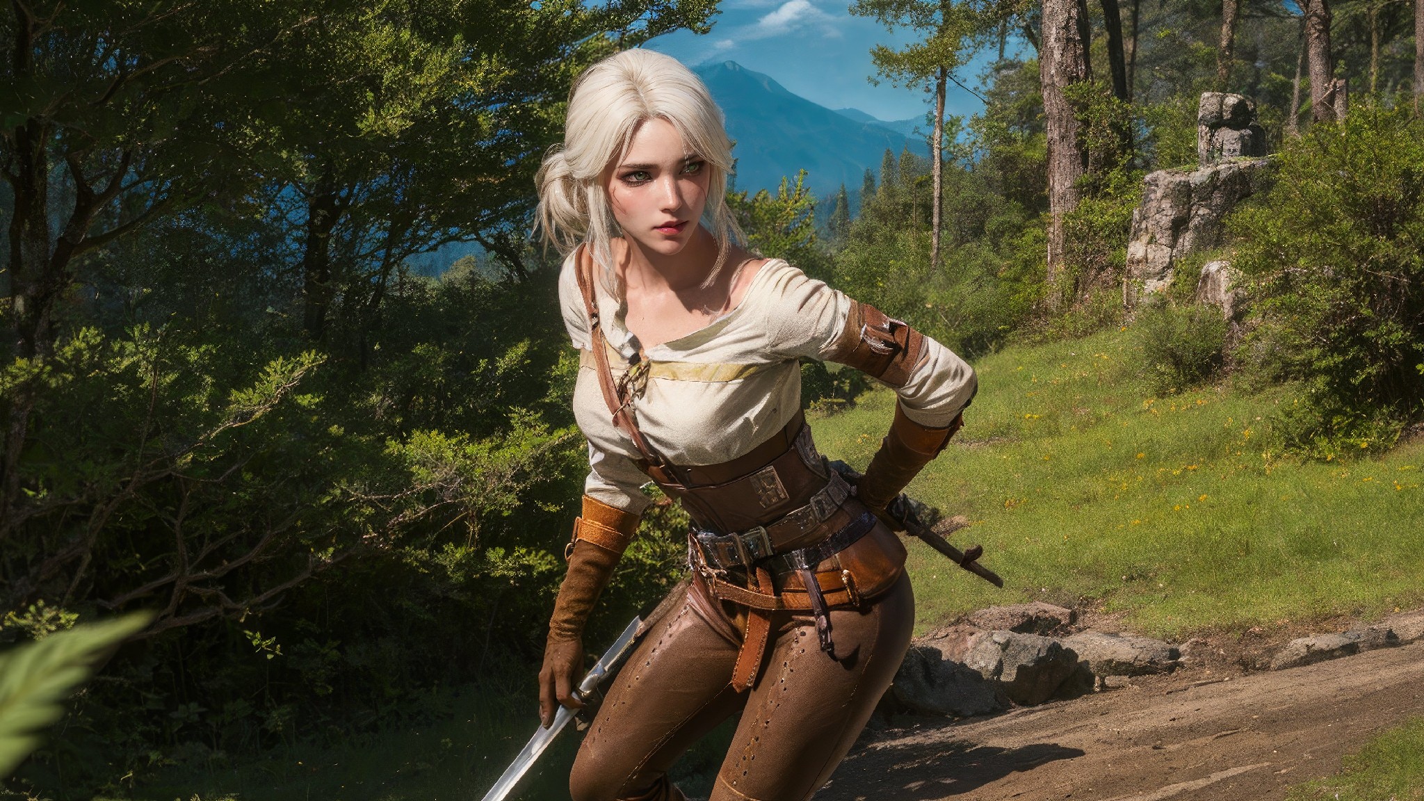 Ciri Standard