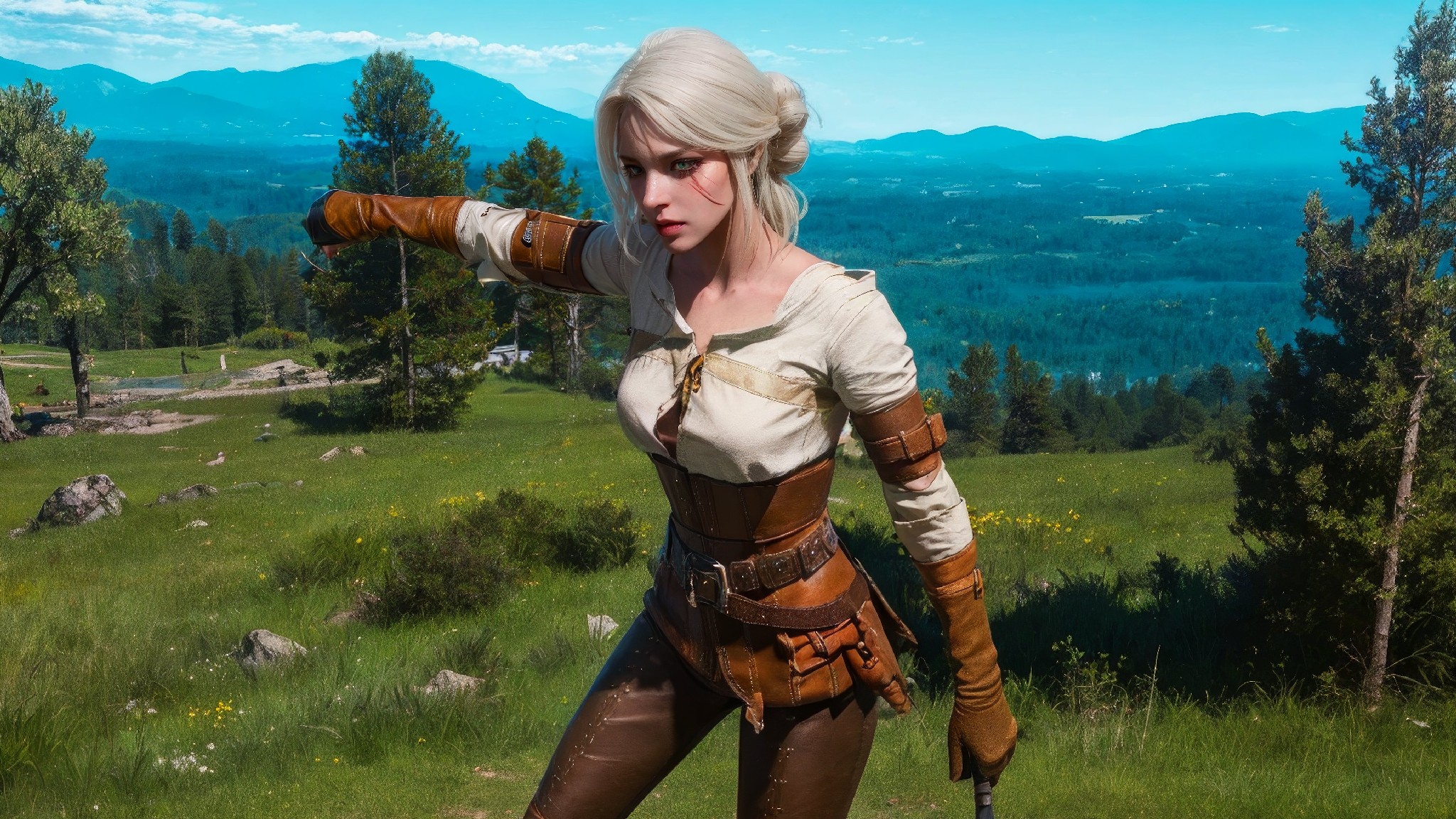 Ciri Standard