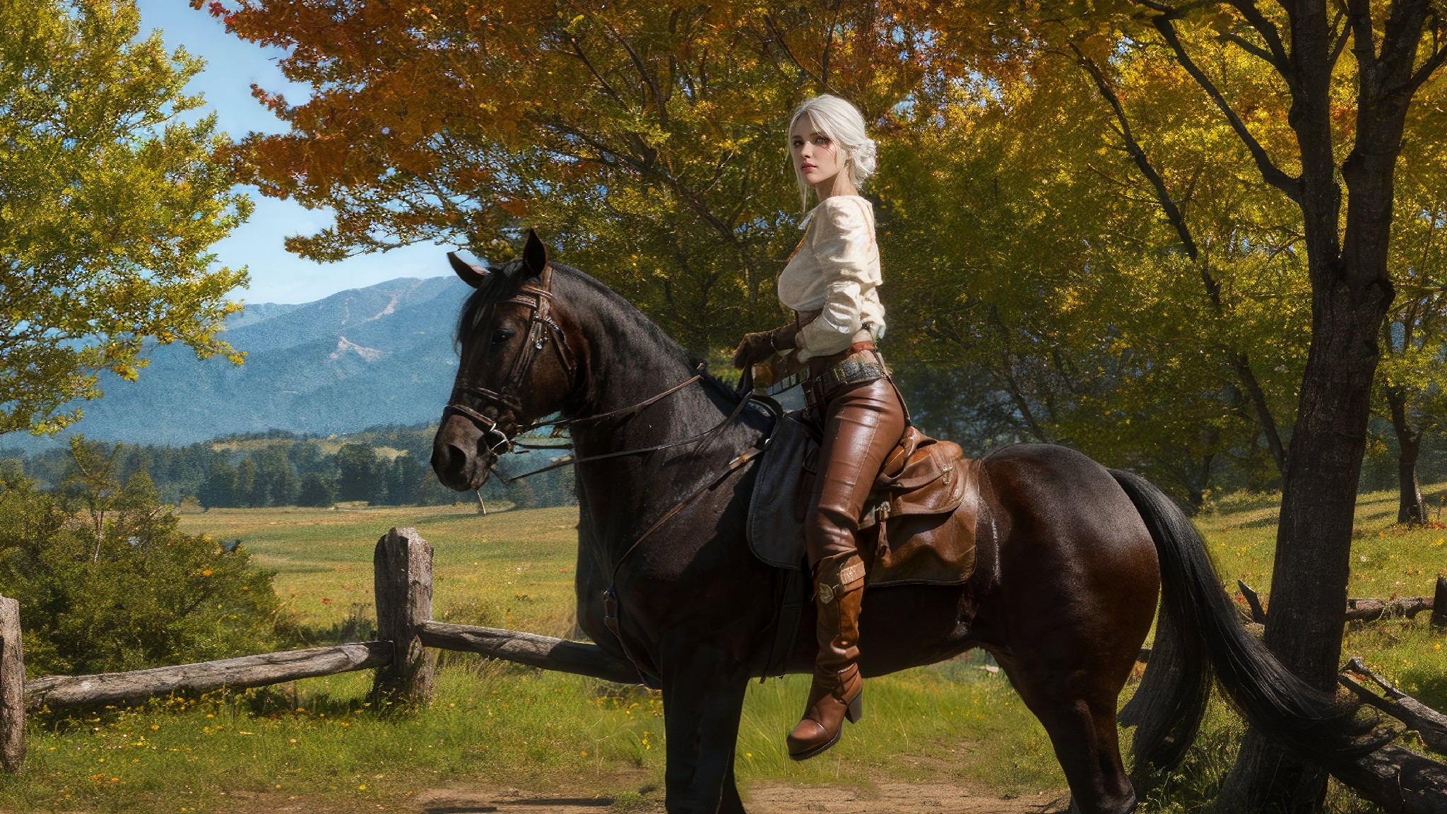 Ciri Standard