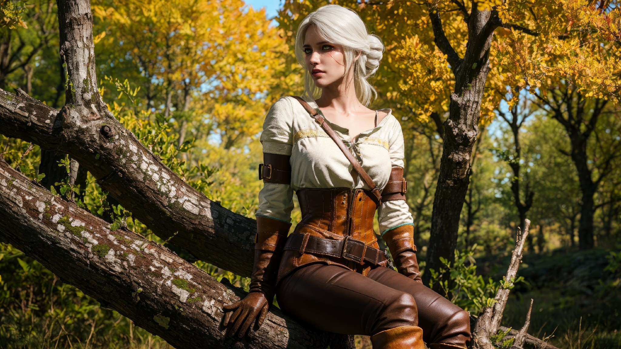 Ciri Standard