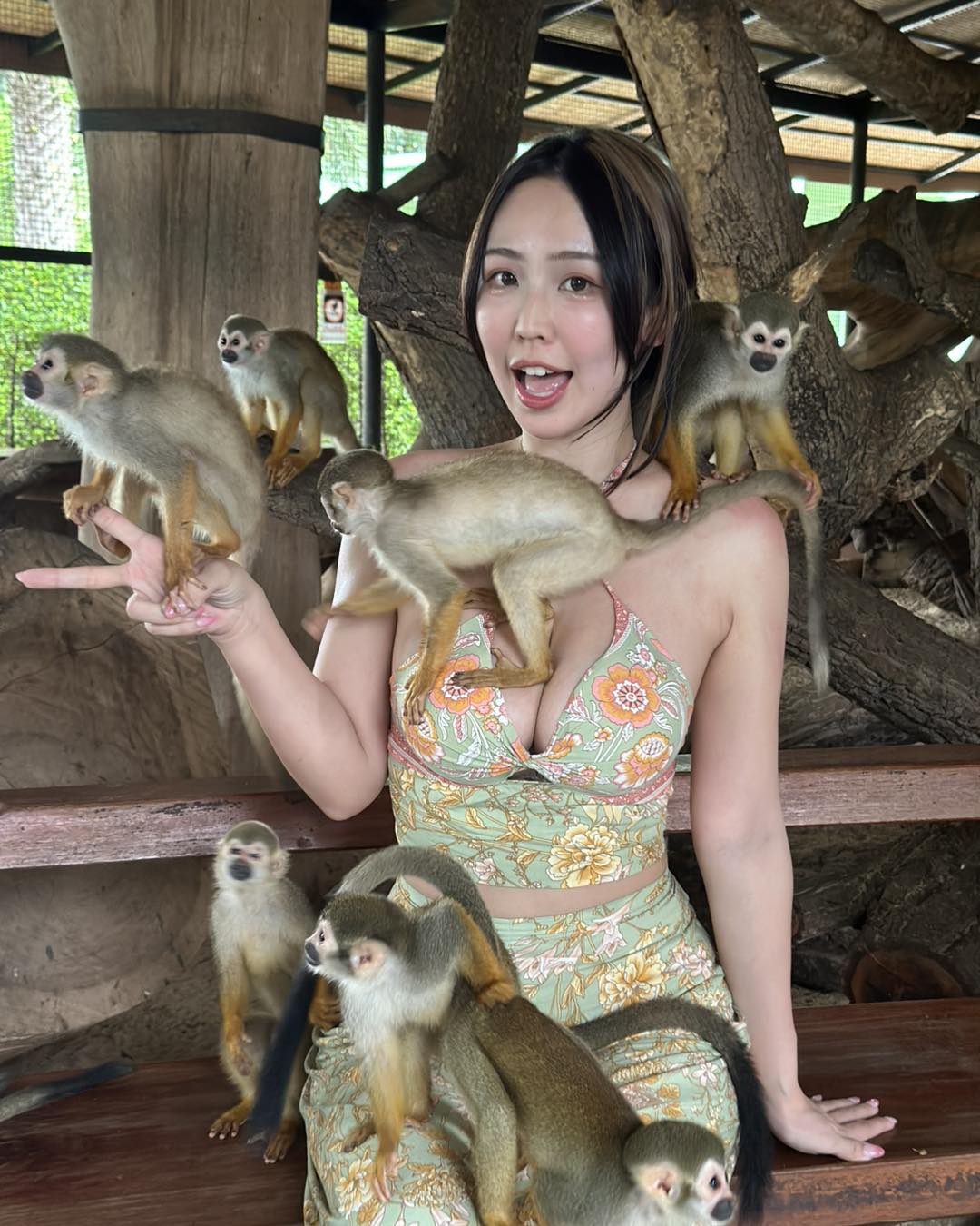 一群幸福的猴子！「希希」造訪美功鐵道，「挺出傲乳」差點撞火車