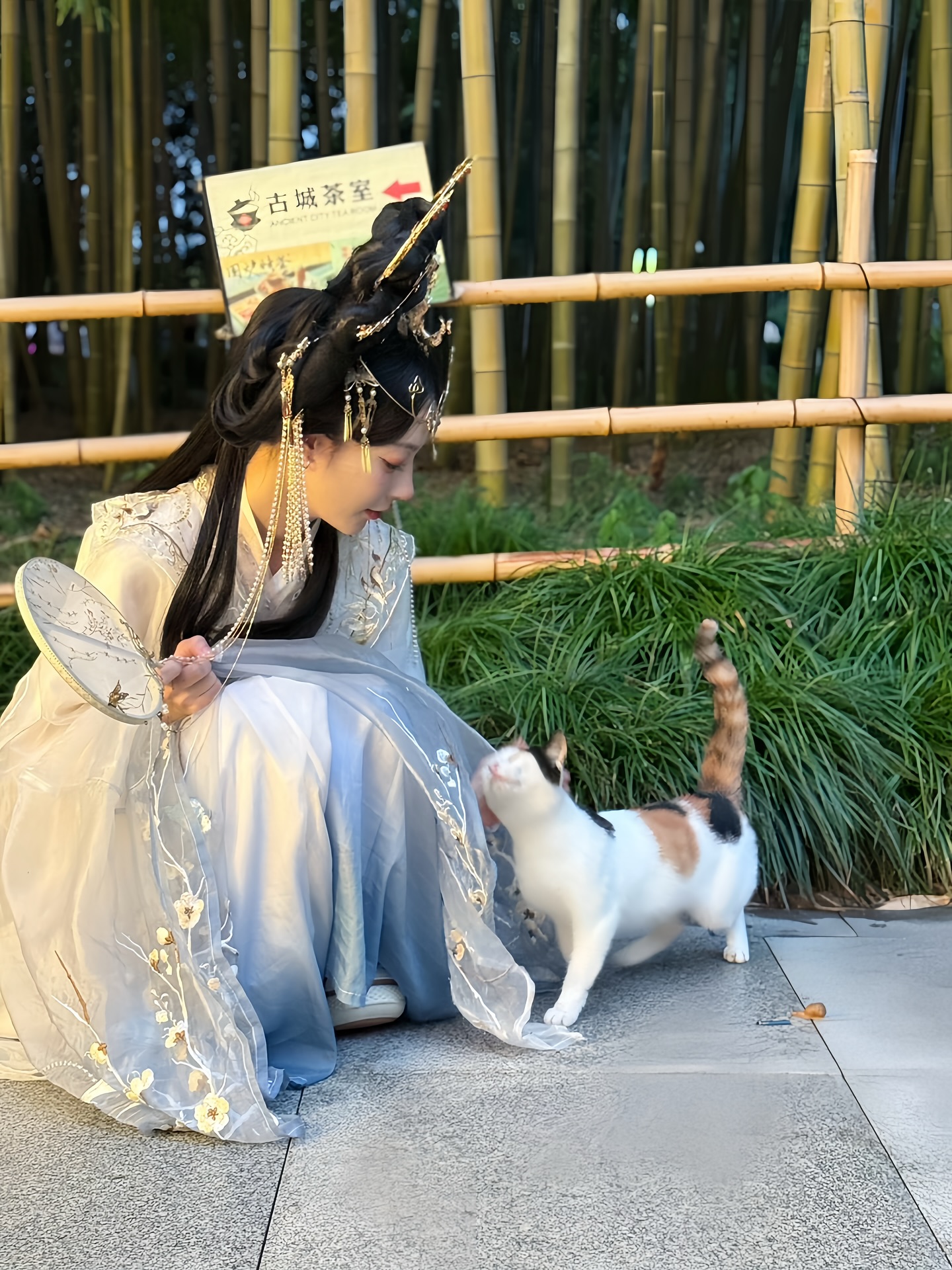 高雄叫小姐 飄哥古裝逗貓甜笑 古典美人