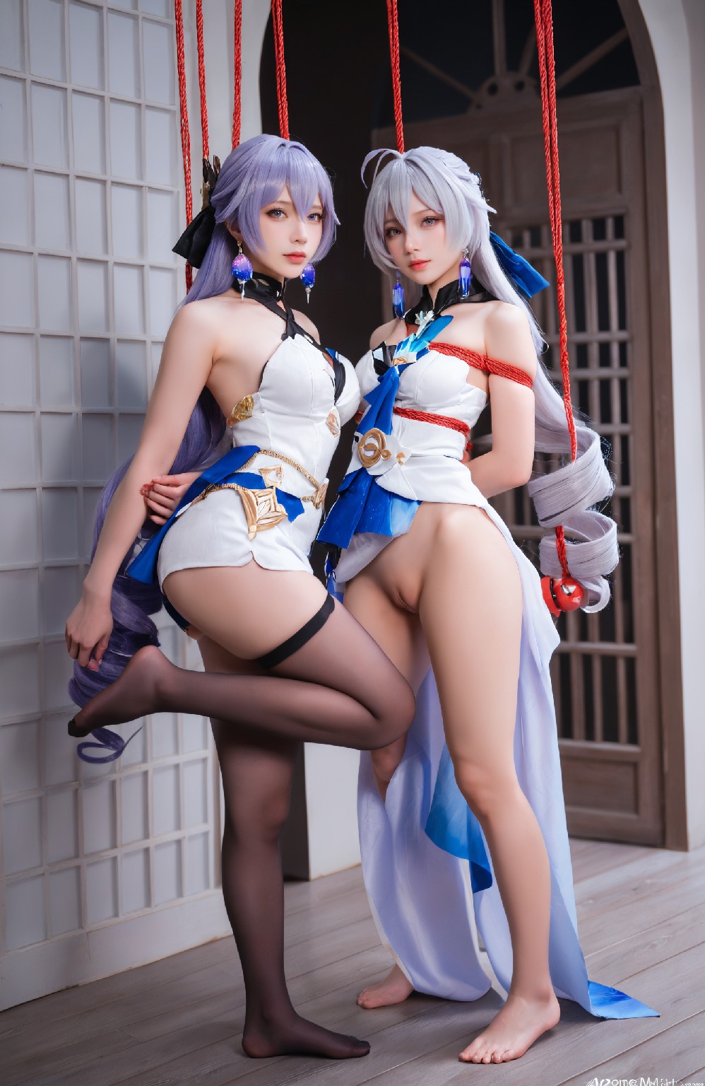 seele (honkai star rail)