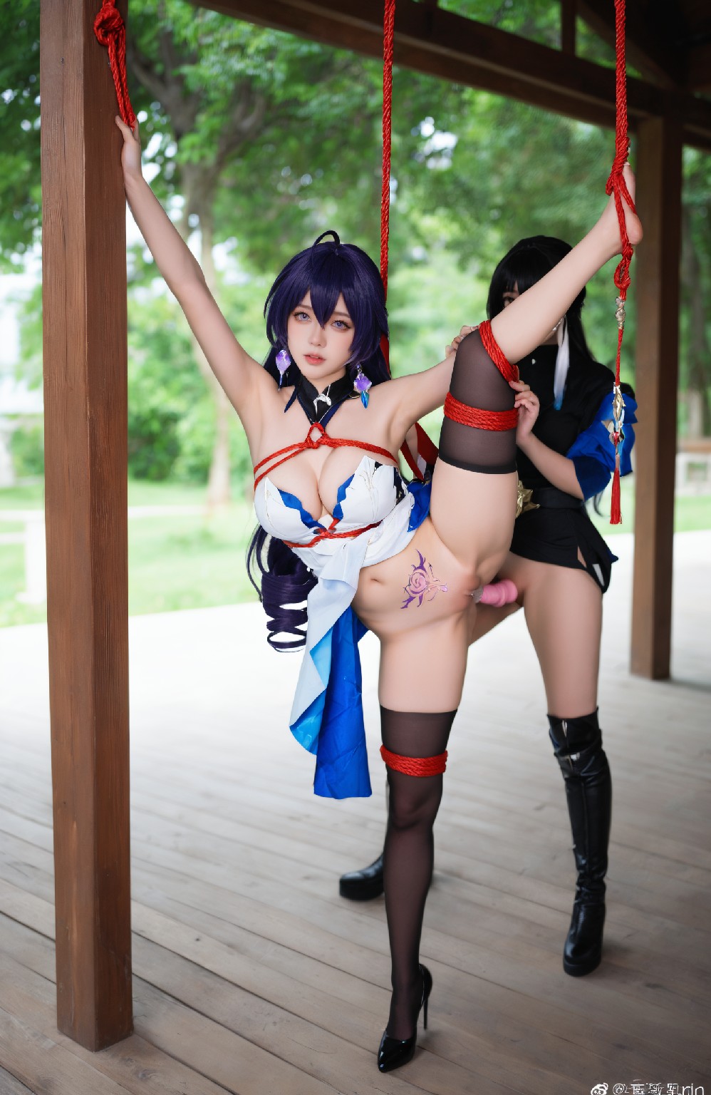 seele (honkai star rail)