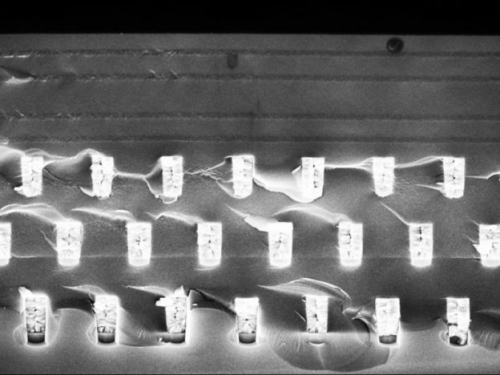 新的光？台裔物理學家發現超越黑體輻射極限的材料