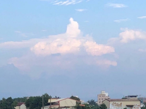 台中上空巧見「佛祖雲」 民眾曬照驚：有神快拜！