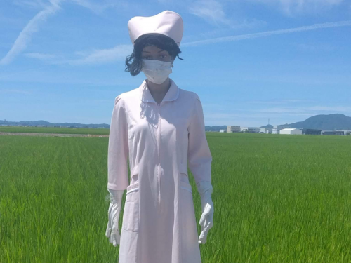 超毛稻草人！一票網友看到嚇哭︰絕對不想在晚上遇到