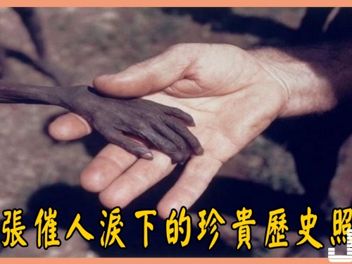 鏡頭下：10張催人淚下的珍貴歷史照片