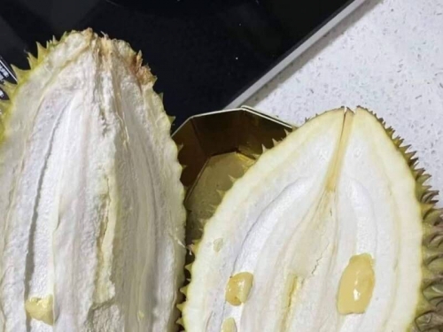 他PO榴槤照抱怨「買了個寂寞」 網笑：是濃縮的！