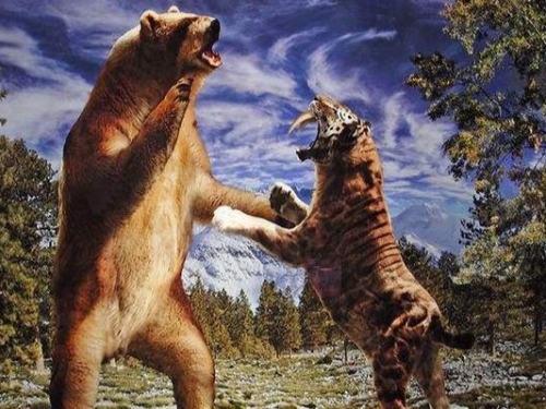 古代猛獸“彪”到底是何物，能殺死老虎？2005年後我國僅拍到3次