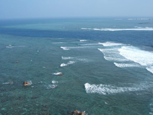 吸碳浮游植物爆量，MIT：全球 56% 海洋變綠