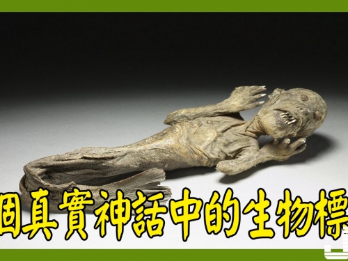 8個真實存在的神話中的生物標本，水底情深異形“精靈魚”