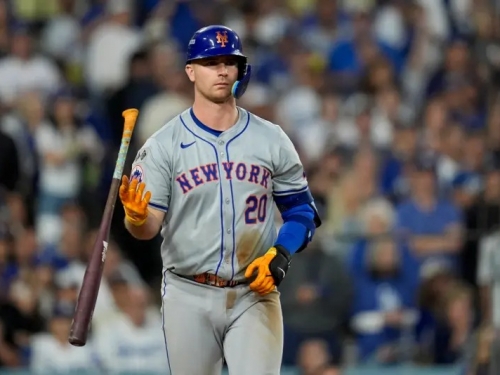 MLB》Soto若不留洋基已有備案！美媒：Pete Alonso是主要補強人選