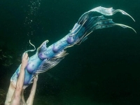 夢想成真《美男魚》來幫大家完成為人魚的願望