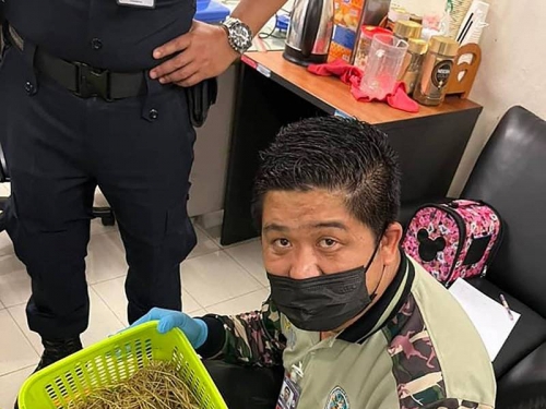 印度女搭機走私 行李箱藏109隻野生動物含蛇、龜、蜥蜴及白豪豬