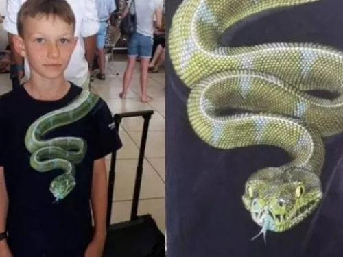 蛇T恤太逼真！害10歲男童「被禁登機」 他神操作穿原衣回國