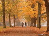 全球十所最美大學！　大陸僅一所上榜