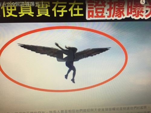 證明天使真實存在的9個證據曝光！