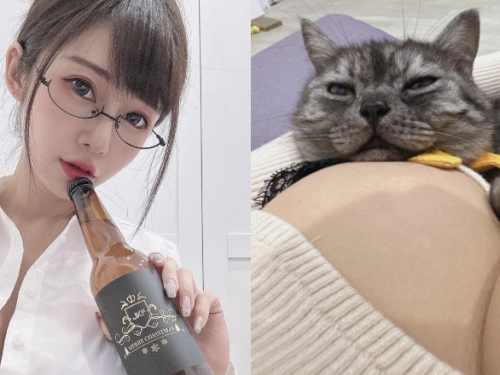 巨乳甜心「安希」成為人形肉墊　愛貓爽躺深溝快睡著！