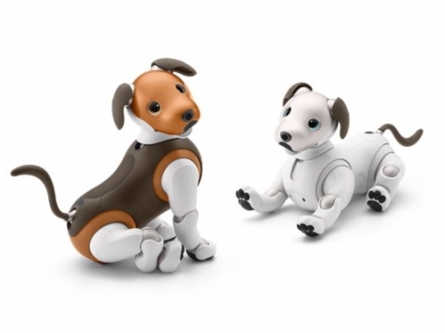 Sony aibo 機器狗加入新 API 化身智慧家居助理