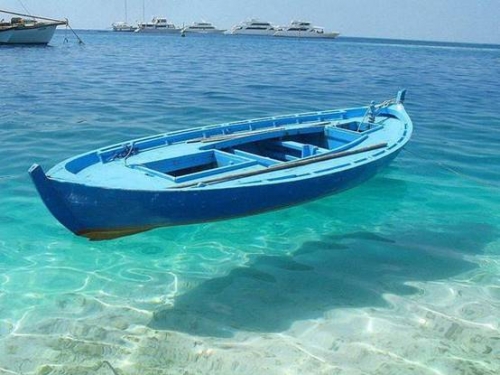 全球最清澈的海洋，海底生物一覽無遺，船隻卻不敢輕易靠近