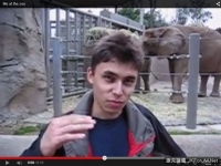 10年前的今天第一支YouTube上線了，拍的是...大象