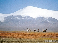 讚嘆！　那些從未被人類征服過的「處女峰」