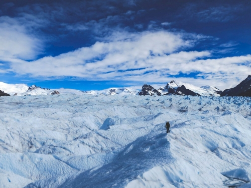恐龍時期雨林覆蓋南極 新研究供暖化評估