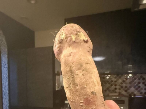 日本這根地瓜長得好威！ 網驚：阿姆斯特朗砲