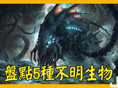 盤點5種不明生物，第3種已被相信真實存在
