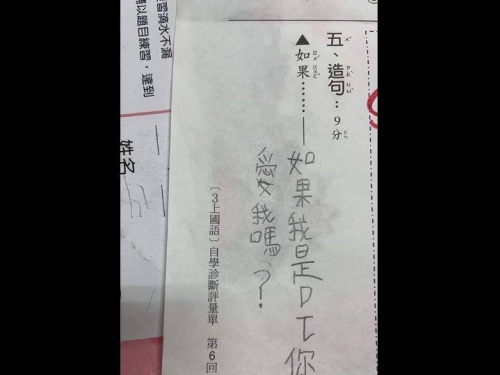 小三生造句寫「如果我是DJ」 網吐槽︰先把字母寫好再把妹！