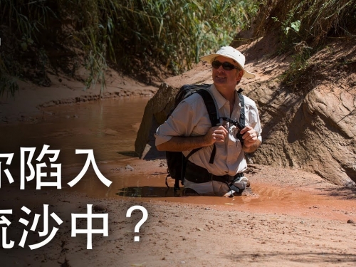 如果你陷入流沙中？| 大膽科學