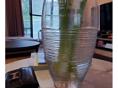 球后就是霸氣！謝淑薇將年終賽冠軍盃當花瓶引熱議